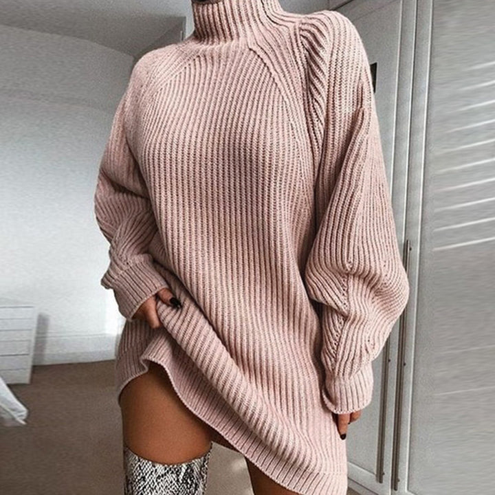 Warm Turtleneck Sweater Dress, Long Solid Color Winter Knit