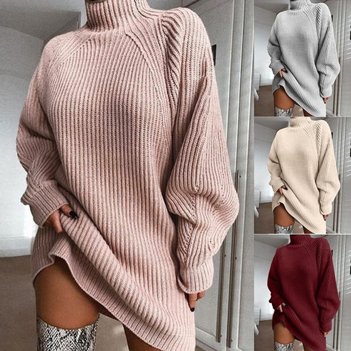 Warm Turtleneck Sweater Dress, Long Solid Color Winter Knit