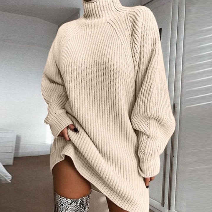 Warm Turtleneck Sweater Dress, Long Solid Color Winter Knit