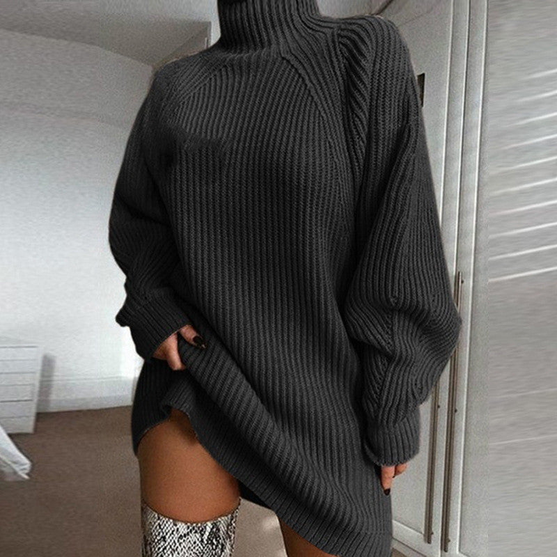 Warm Turtleneck Sweater Dress, Long Solid Color Winter Knit