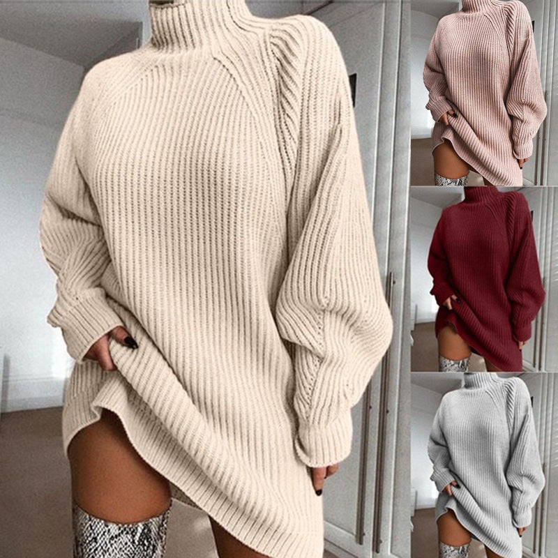 Warm Turtleneck Sweater Dress, Long Solid Color Winter Knit
